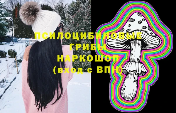 2c-b Зеленодольск