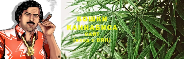 ПСИЛОЦИБИНОВЫЕ ГРИБЫ Зеленокумск