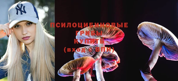 ПСИЛОЦИБИНОВЫЕ ГРИБЫ Зеленокумск