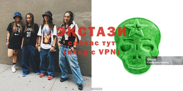 мдпв Инсар
